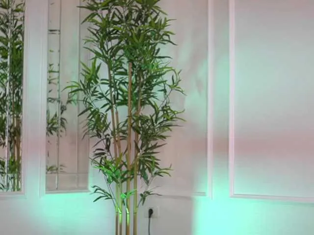 ellacandy on BongaCams