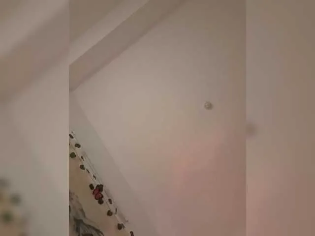 LittleDelora on BongaCams