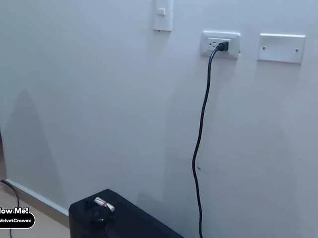 Velvetcrowe on BongaCams 