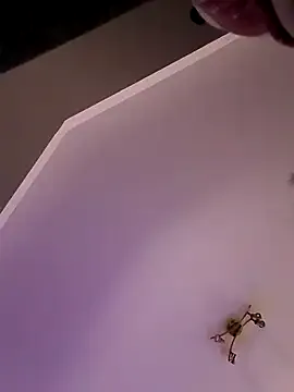 gala2 on StripChat