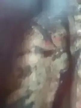 Jaanuteluguammaii on StripChat 